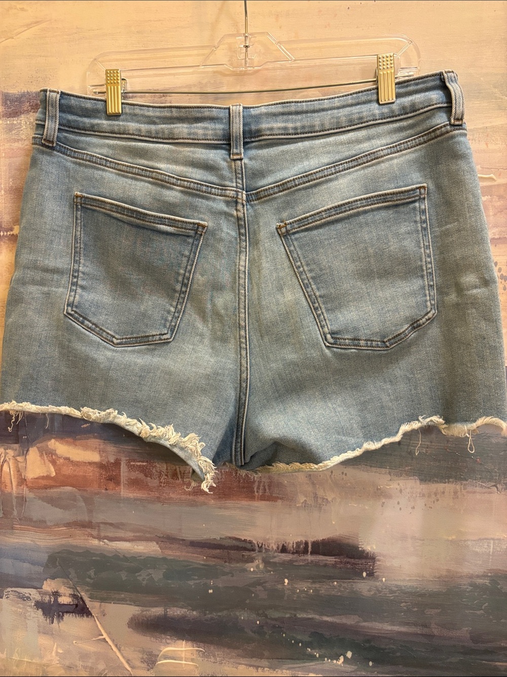 LC Lauren Conrad Light Blue Denim Floral Embroidered Shorts - Picture 4 of 6